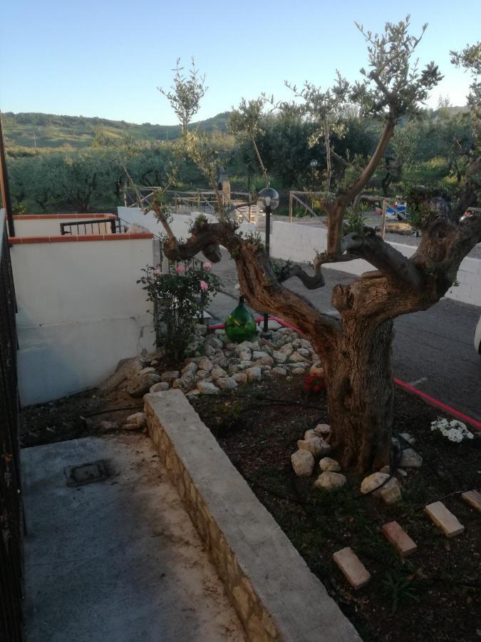 B&B Pozzo Innamorato Montenero di Bisaccia Exterior photo
