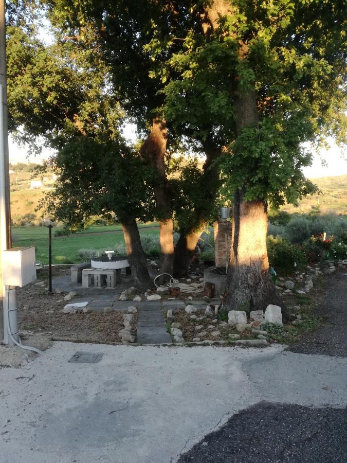 B&B Pozzo Innamorato Montenero di Bisaccia Exterior photo