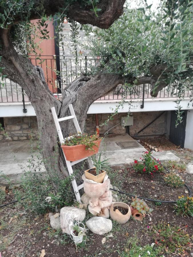 B&B Pozzo Innamorato Montenero di Bisaccia Exterior photo